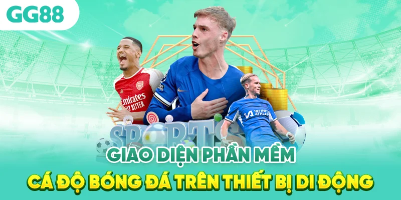 Phần mềm cá cược bóng đá Dùng Như Nào? 